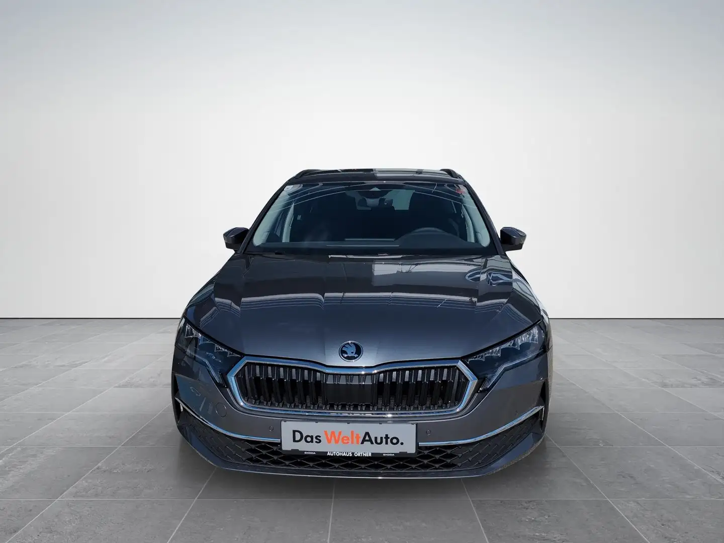 Skoda Octavia Selection TDI DSG Grau - 2