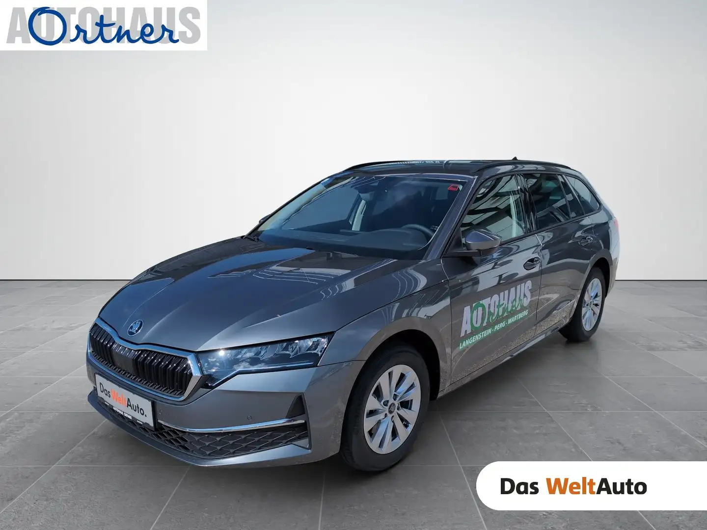 Skoda Octavia Selection TDI DSG Grau - 1