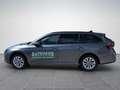 Skoda Octavia Selection TDI DSG Grau - thumbnail 3