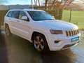 Jeep Grand Cherokee 3.0 V6 Diesel Overland 250 CV Blanco - thumbnail 3