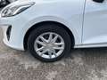 Ford Fiesta Fiesta 5p 1.5 ecoblue Business 85cv my20.25 Blanc - thumbnail 24