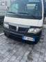 Piaggio Porter 1.2 D120 Cassonato Rib. lega Ext (1,5t) Blanc - thumbnail 1