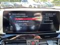 BMW X2 M M35i / Glasdach / Leder / Head-Up Display Czarny - thumbnail 10