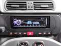 Fiat Panda 1.0 Mild Hybrid City Plus Klima DAB Schwarz - thumbnail 7