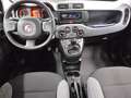 Fiat Panda 1.0 Mild Hybrid City Plus Klima DAB Schwarz - thumbnail 5