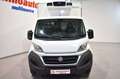 Fiat Ducato CHASIS CABINA CARROZADO FRIGORÍFICA FRCX 3.5T 2.3 Blanc - thumbnail 4