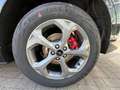 Ford Kuga Hybrid ST-Line X 2.5 Duratec FHEV B & O 360 Kamera Zwart - thumbnail 31