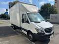 Mercedes-Benz Sprinter 414CDI CASSONATO - GEMELLATO Wit - thumbnail 3