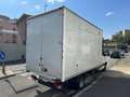 Mercedes-Benz Sprinter 414CDI CASSONATO - GEMELLATO Wit - thumbnail 4