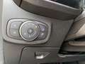 Ford Fiesta 1,0 EcoBoost 74kW S/S Titanium Gris - thumbnail 13
