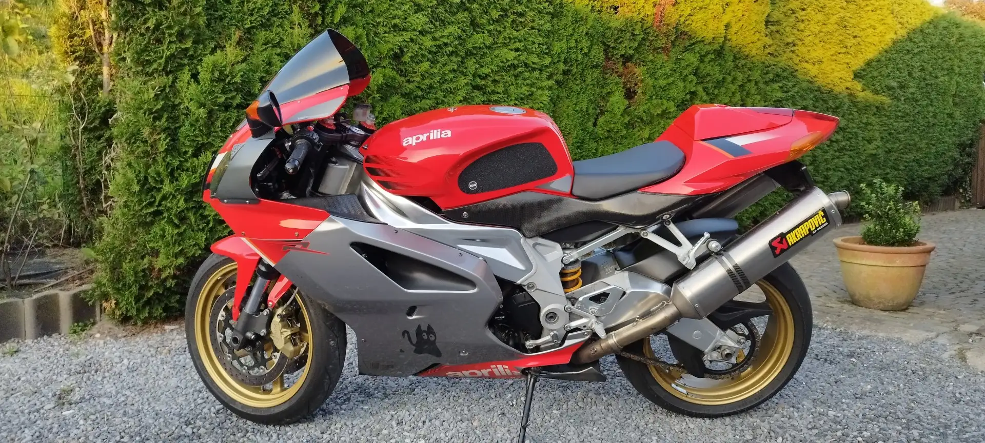 Aprilia RSV 1000 R fluored Grey - 1