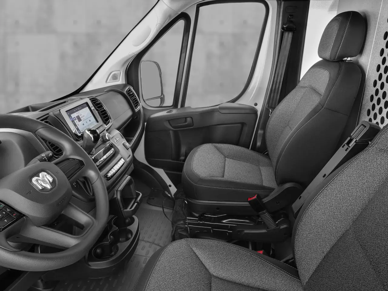 RAM Promaster снимка RAM Promaster
