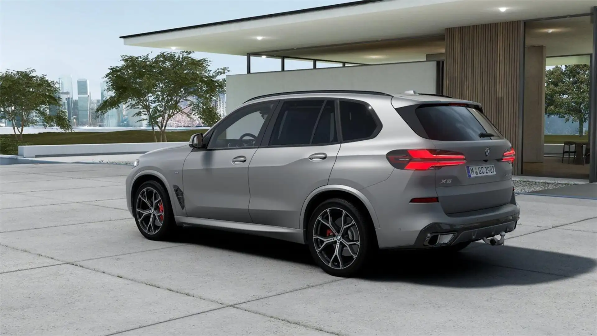 BMW X5 xDrive40d Gris - 2