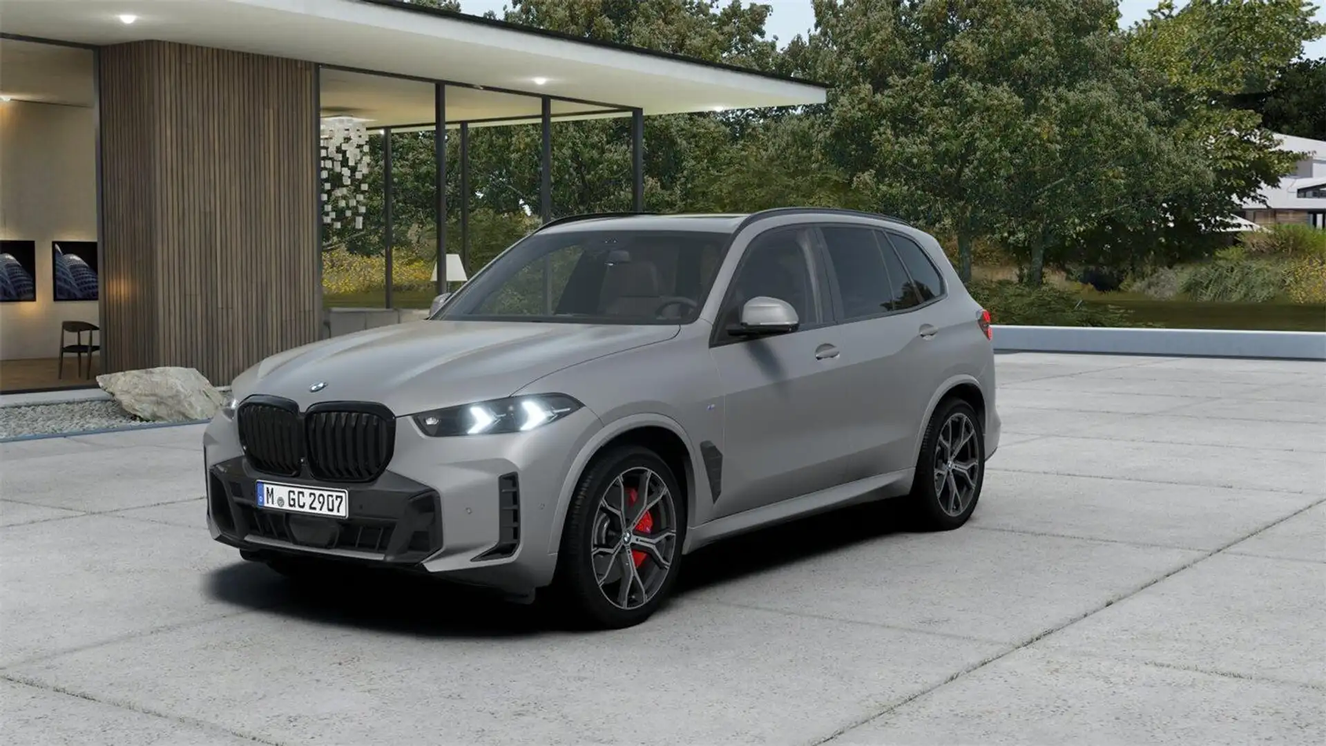 BMW X5 xDrive40d Gris - 1