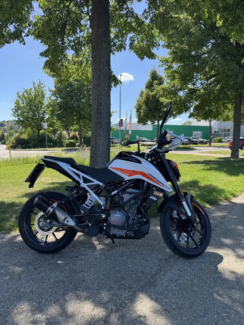 KTM 390 Duke Mit Quickshifter und Umfallschutz Bügel Alb - 1