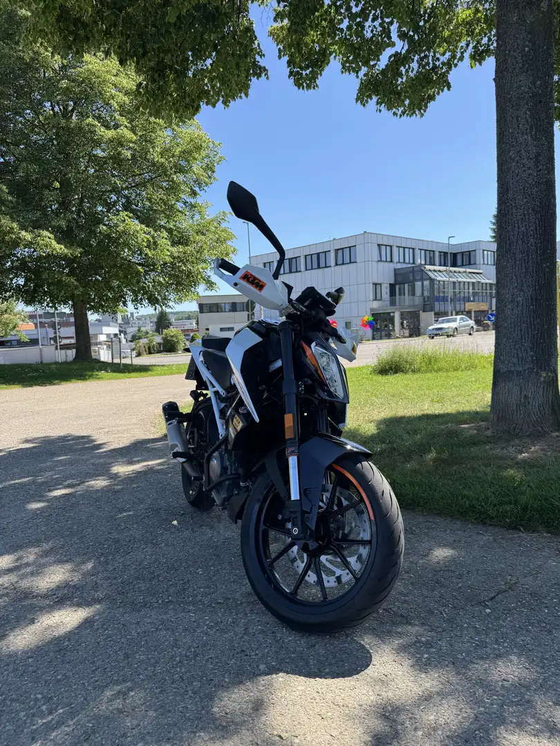 KTM 390 Duke Mit Quickshifter und Umfallschutz Bügel Alb - 2