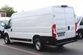 Peugeot Boxer 35 L4H2 140 *neuModell*360°PDC*Kamera*Holz Weiß - thumbnail 10