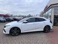 Honda Civic Executive PANO ACC LED RFK Weiß - thumbnail 3
