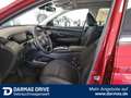 Hyundai TUCSON Tucson Plug-in-Hybrid Trend 4WD Klimaaut. PanoD Rouge - thumbnail 11