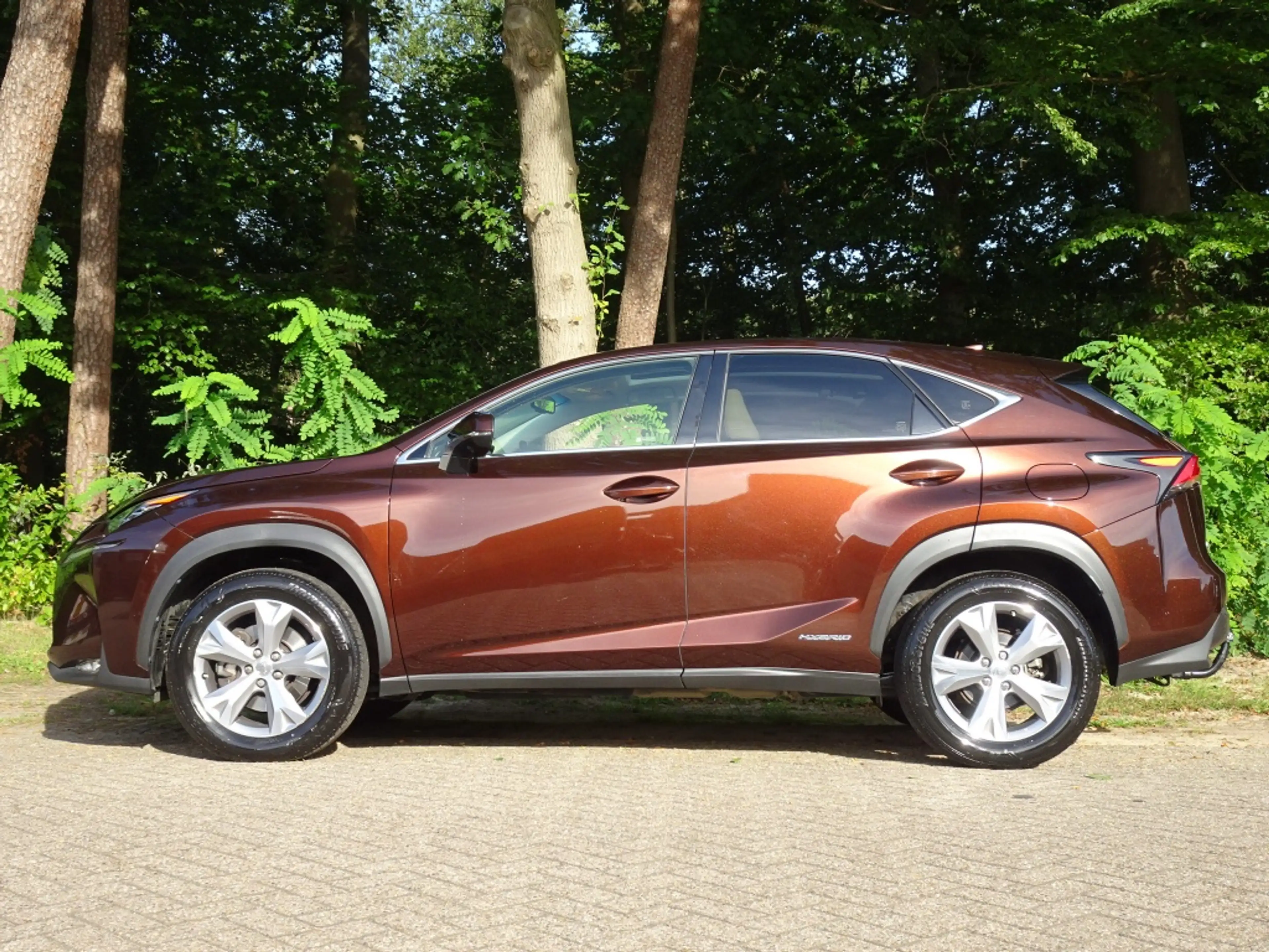 Lexus NX 300h AWD President *Pano/Mark L./HUD/Stoelkoeling/Trekh — photo 3