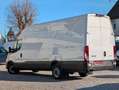 Iveco Daily Daily 35S18A8 Maxi L4H3 Superhochdach Wit - thumbnail 2