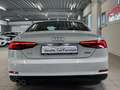Audi A5 Audi Coupe 50 TDI Qu 3xS-Line*RS-Sitze+B&O+Massage Weiß - thumbnail 12