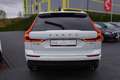 Volvo XC60 2.0 Momentum 2WD Totwinkel ACC Keyless PDC Weiß - thumbnail 4