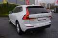 Volvo XC60 2.0 Momentum 2WD Totwinkel ACC Keyless PDC Weiß - thumbnail 3