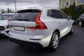 Volvo XC60 2.0 Momentum 2WD Totwinkel ACC Keyless PDC Weiß - thumbnail 5