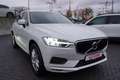 Volvo XC60 2.0 Momentum 2WD Totwinkel ACC Keyless PDC Weiß - thumbnail 6