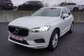 Volvo XC60 2.0 Momentum 2WD Totwinkel ACC Keyless PDC Weiß - thumbnail 2