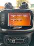 smart forTwo Prime 66 kW Cabrio Navi-Leder-JBL-55 TkmTüv/Oel Grau - thumbnail 28
