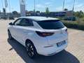 Opel Grandland Grandland 1.2 T 130cv Business Elegance A/T8 Bianco - thumbnail 6