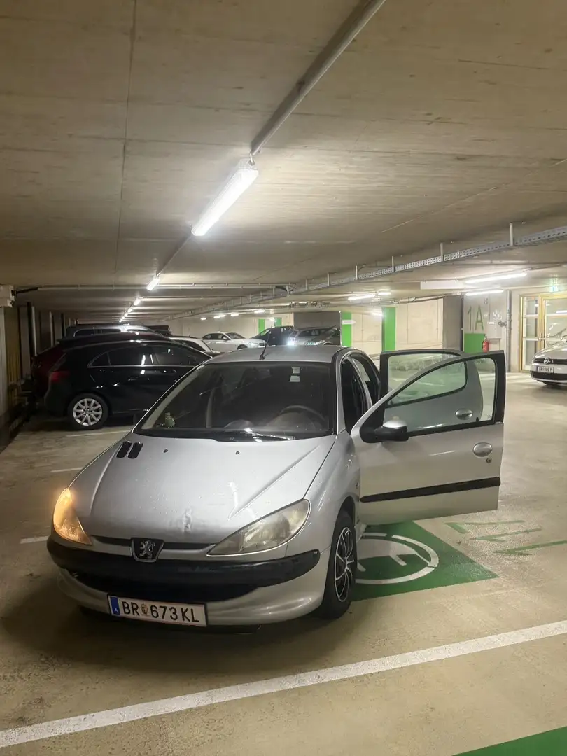 Peugeot 206 Colorline - 2