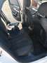 Audi A4 Avant 2.0 tdi Business Sport 122cv Bianco - thumbnail 12