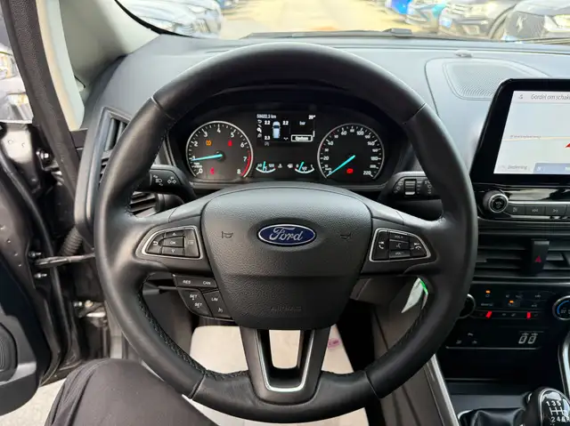 Ford Ecosport view 15