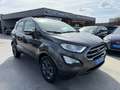 Ford EcoSport 1.0i 125PK NAVIGATIE CARPLAY PDC VERWARMDE ZETELS LED ALU CARPASS Gris - thumbnail 3