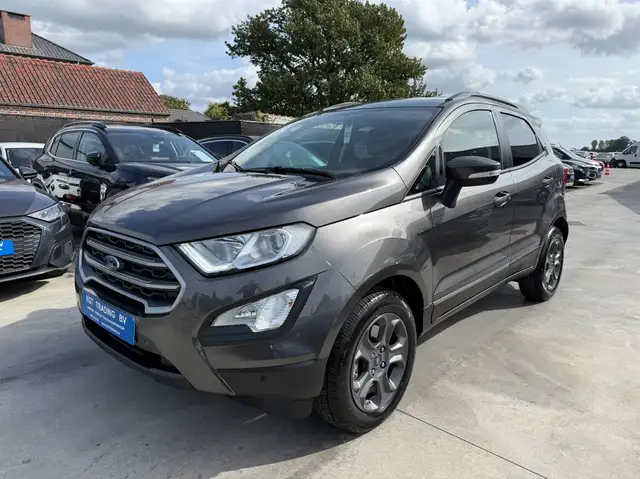 Ford Ecosport view 9