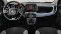 Fiat Panda Panda 1.0 firefly hybrid City Life s&s 70cv 5posti Noir - thumbnail 9