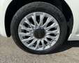 Fiat 500C 1.0 hybrid Dolcevita 70cv PROMO KASKO Bianco - thumbnail 14