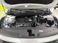 Kia Sportage 1.6 T-GDi MHEV Business DCT 4x2 160 Blanco - thumbnail 31