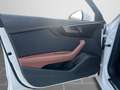 Audi A4 40 TFSI quattro S tronic NAVI PLUS AHK Weiß - thumbnail 13