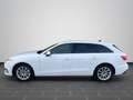 Audi A4 40 TFSI quattro S tronic NAVI PLUS AHK Weiß - thumbnail 7