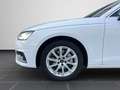 Audi A4 40 TFSI quattro S tronic NAVI PLUS AHK Weiß - thumbnail 8