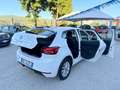 SEAT Ibiza " DA VETRINA " Ibiza V 2017 1.6 tdi Business 95cv - thumbnail 7