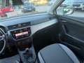 SEAT Ibiza " DA VETRINA " Ibiza V 2017 1.6 tdi Business 95cv - thumbnail 23