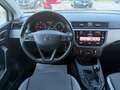 SEAT Ibiza " DA VETRINA " Ibiza V 2017 1.6 tdi Business 95cv - thumbnail 20