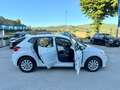 SEAT Ibiza " DA VETRINA " Ibiza V 2017 1.6 tdi Business 95cv - thumbnail 6