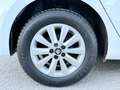 SEAT Ibiza " DA VETRINA " Ibiza V 2017 1.6 tdi Business 95cv - thumbnail 15