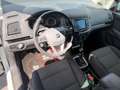 SEAT Alhambra 2.0 TDI Executive 4Drive Weiß - thumbnail 12